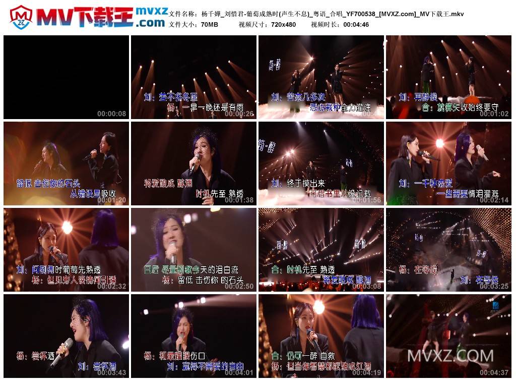 杨千嬅_刘惜君-葡萄成熟时(声生不息)_粤语_合唱_YF700538